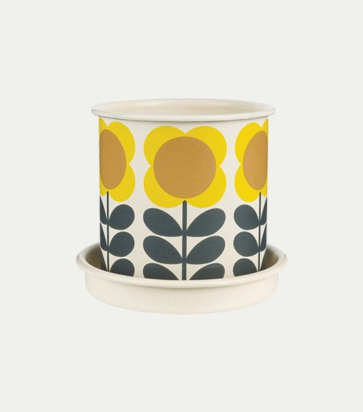 Spot Flower Plant Pot